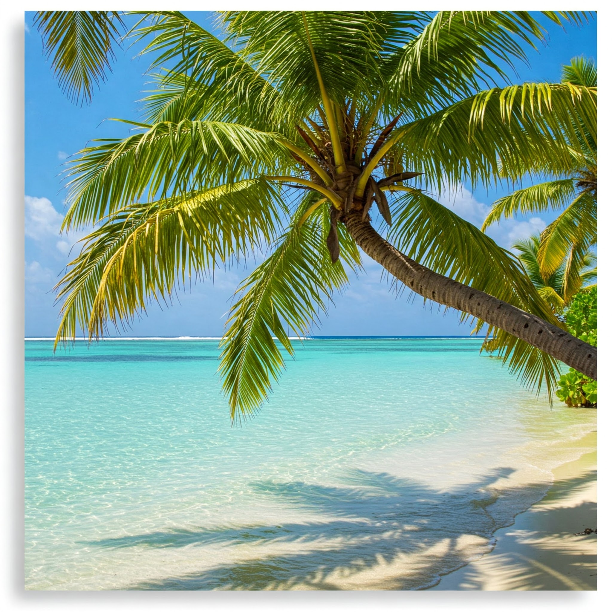 Tropical Paradise